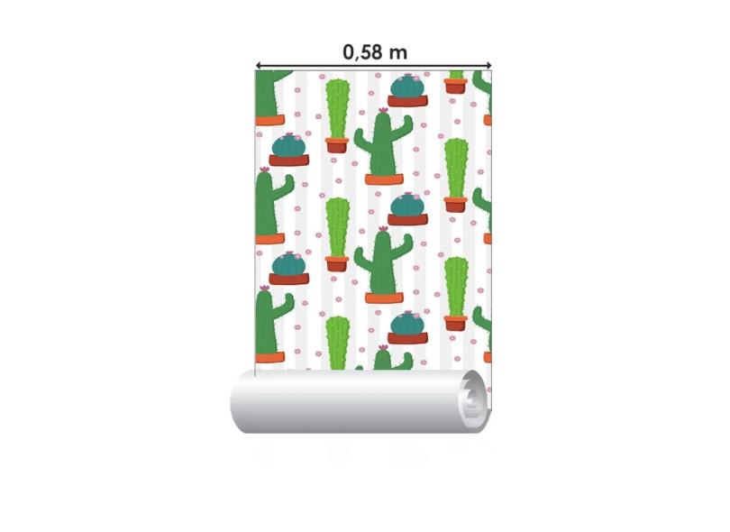 Imagem 7