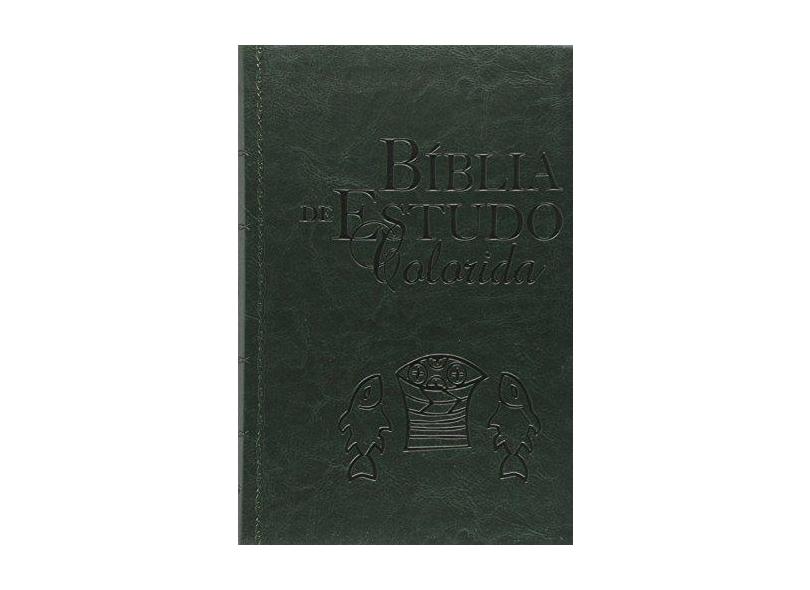 Bíblia de Estudo Colorida - Letra Grande - Capa Verde - Bv Books - 9788581580944