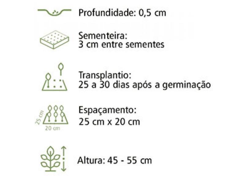 Sementes de Goivos Dobrados Mistura - 5603528004601-1