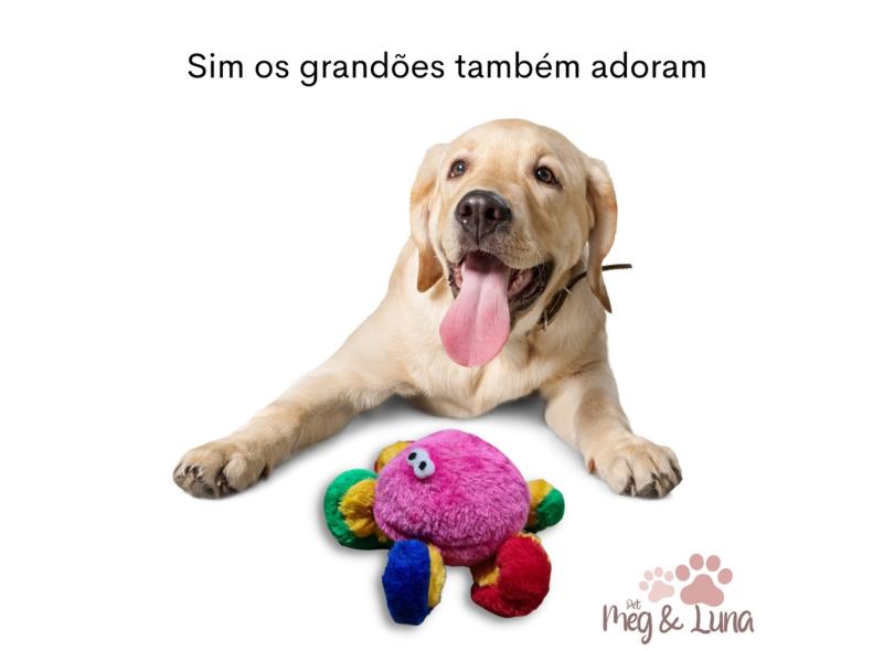 Imagem 20