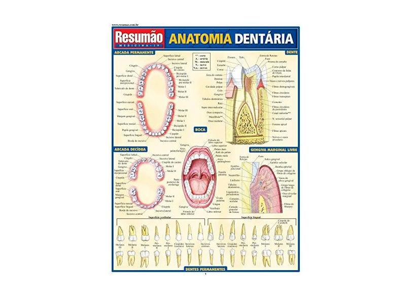 Resumão Anatomia Dentária - França, Maria Ignez T. - 9788588749580