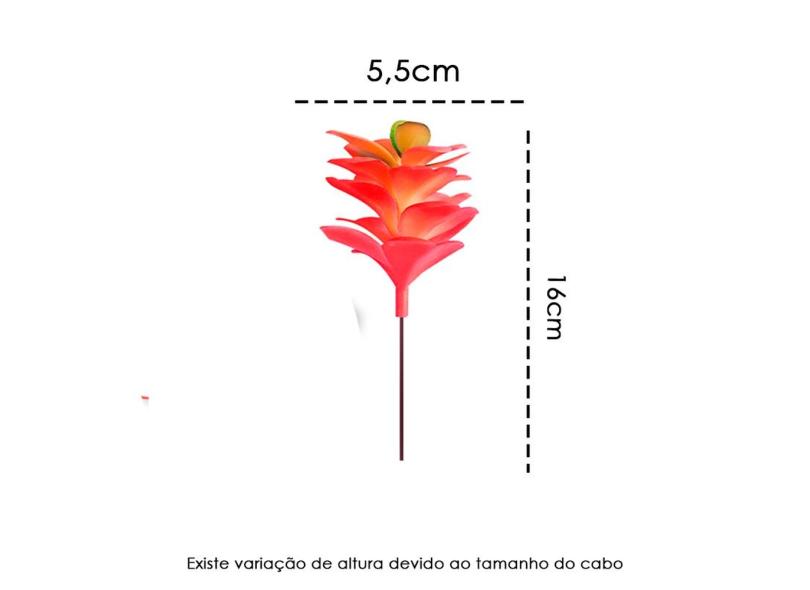 Imagem 8