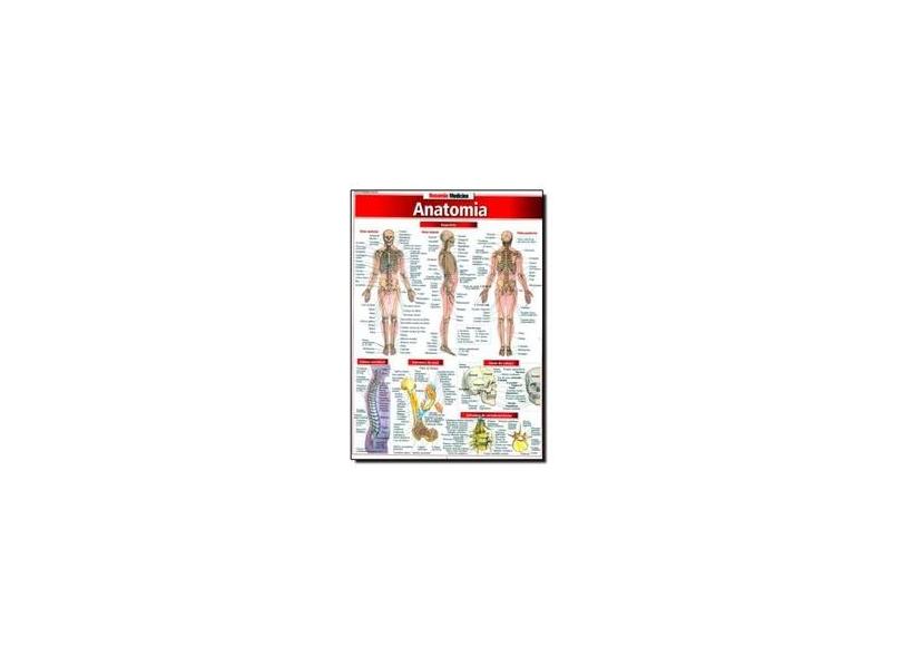Resumão Anatomia - França, Maria Ignez T. - 9788588749245