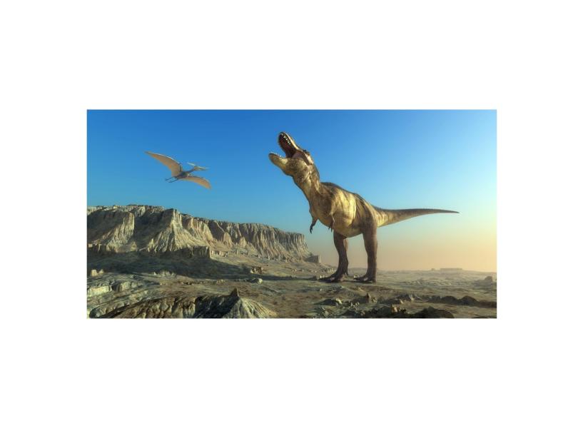 Dinossauro em Promoção