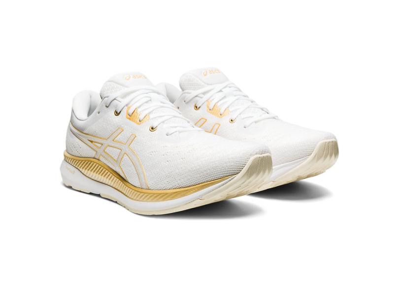 Tênis Asics Masculino Corrida Evoride