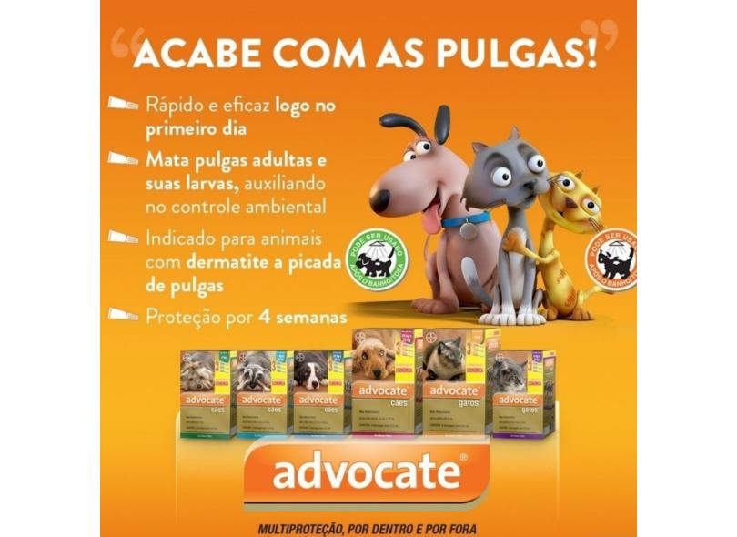 Imagem 6