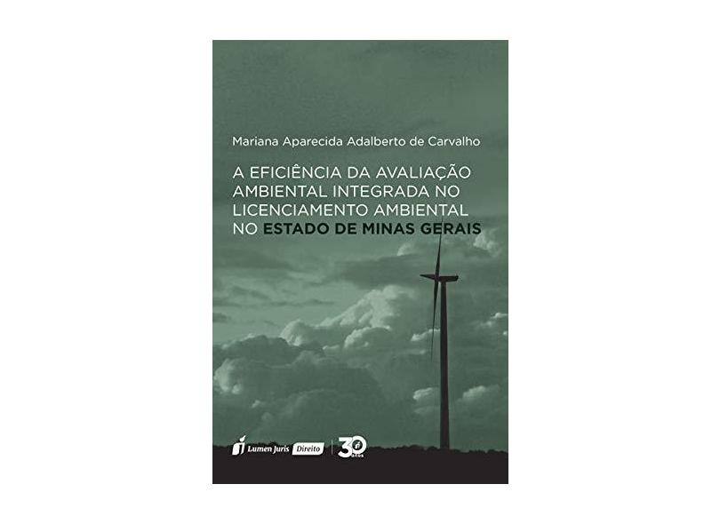 A Eficiência da Avaliação Ambiental Integrada no Licenciamento