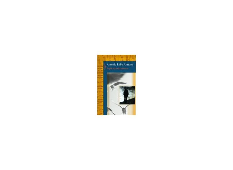 Explicação dos Pássaros - Antunes, Antonio Lobo - 9788560281893