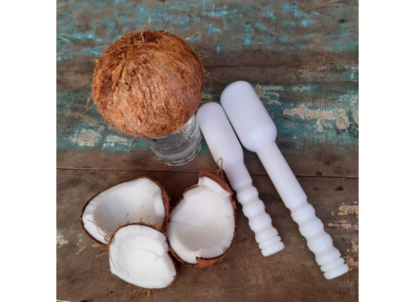 GELO DE COCO - Comprar em Coconut Brasil