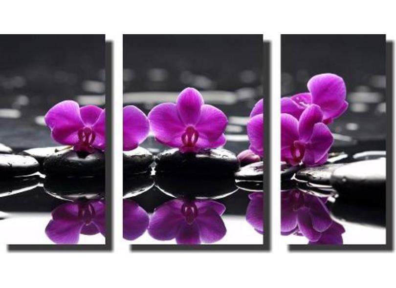 Quadro Decorativo Orquídea Roxa 3 Peças Para Sala com o Melhor Preço é no  Zoom