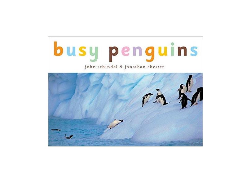 Penguins!: A Busy Animals Book - John Schindel - 9781582460161
