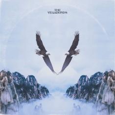 Imagem de V [Disco de Vinil]