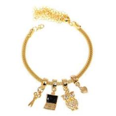 Imagem de Pulseira Berloque Pedagogia Coruja Computador Folheado 18k