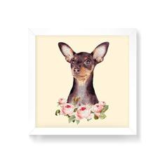Imagem de Arte Maníacos Quadro Decorativo Pinscher Flores - 50x50cm (Moldura em laca )
