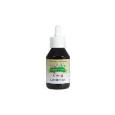 Imagem de Floral Lambedura 100ml gotas- Animal Flower