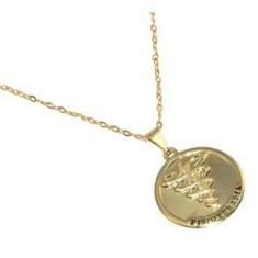Imagem de Colar Cordão Profissão Medalha Fisioterapia Folheado 18k
