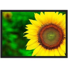 Imagem de Quadro Decorativo Flores Girassóis Paisagem Natureza Decorações Com Mo
