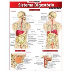 Imagem de Resumão Medicina - Sistema Digestório - Avançado - Perez, Vicent - 9788577113392