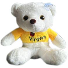 Imagem de Urso Ursinho Pelucia Pequeno Bege Roupinha Signo Virgem