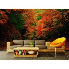 Imagem de Papel de Parede Paisagens Floresta 16 - 1,00 X 1,00