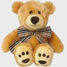 Imagem de Pelucia URSO 25CM Multikids