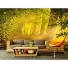 Imagem de Papel de Parede Paisagens Floresta 111 - 1,00 X 1,00