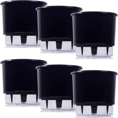 Imagem de 6 Vaso Raiz Autoirrigavel 16x14cm  Área Interna Externa
