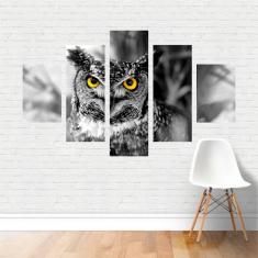 Imagem de Quadro  E  Coruja Pássaro Ave Olhos s Canvas