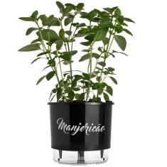 Imagem de Vaso Raiz Autoirrigável N3  Manjericão Temperos Horta
