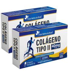 Imagem de Kit 2X Colágeno Tipo Ii 40Mg 30 Cápsulas - Flora Nativa