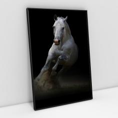 Imagem de Quadro decorativo A4 cavalo  forte
