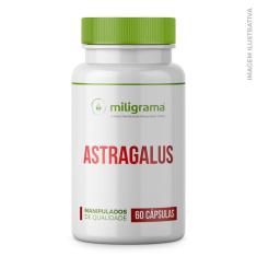 Imagem de Astragalus 500Mg 60 Cápsulas