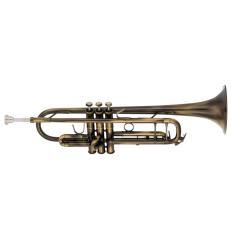 Imagem de Trompete em Sib (Bb) TOKAI Envelhecido com detalhes em Dourado - TR-400EN