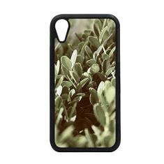 Imagem de Capa para iPhone XR com imagem de plantas da Sunshine Leaves para proteção de telefone Apple
