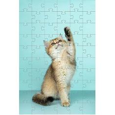 Imagem de Quebra-Cabeça Cognitivo Gatinho 300 peças