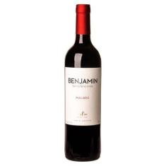 Imagem de Vinho benjamin nieto malbec 750 ml