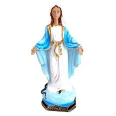 Imagem de Imagem Escultura Nossa Senhora das Graças 20 cm Resina