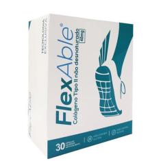 Imagem de Colágeno Tipo 2 Flexable Global Suplementos - 30 Cápsulas