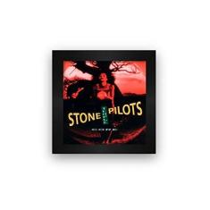 Imagem de Quadro ejo com moldura Stone Temple Pilots Core