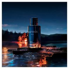 Imagem de Sauvage Dior Masculino Parfum 100Ml