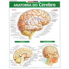 Imagem de Anatomia do Cêrebro - Perez Vincent - 9788577113347