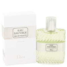 Imagem de Perfume Masculino Sauvage Christian Dior 50 ML Eau De Toilette