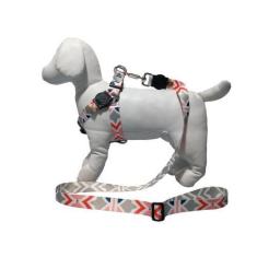 Imagem de Coleira peitoral para cachorro com guia modelo americano - Facepet, CO
