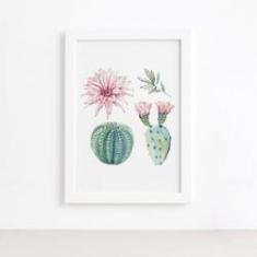 Imagem de Quadro Cacto Floridos Moldura  33x43cm