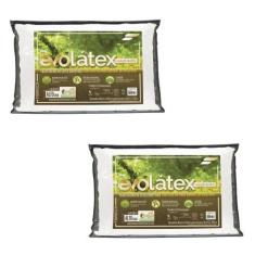 Imagem de Kit de 2 Travesseiros Alto Evolátex - Fibrasca