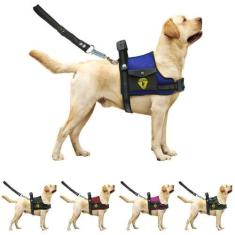Imagem de Coleira Peitoral Para Cachorro Pet Com Bolso Guia Ajustável Reforçada