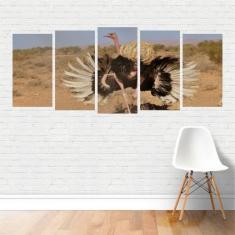 Imagem de Quadro Animais Avestruz Ave Pássaro Correndo No Deserto Canvas