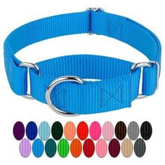 Imagem de Coleira Country Brook Petz Martingale para cães - Coleira de treinamento resistente sem fivela - Coleira para cães de serviço para todos os filhotes - Coleção vibrante e colorida (azul gelo, 2,5 cm,