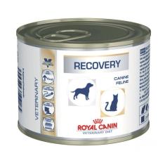 Imagem de Ração Royal Canin Lata Canine E Feline Veterinary Diet Recovery Wet - 195 G