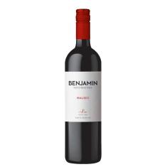 Imagem de Vinho Benjamin Nieto Senetiner Malbec 750ml